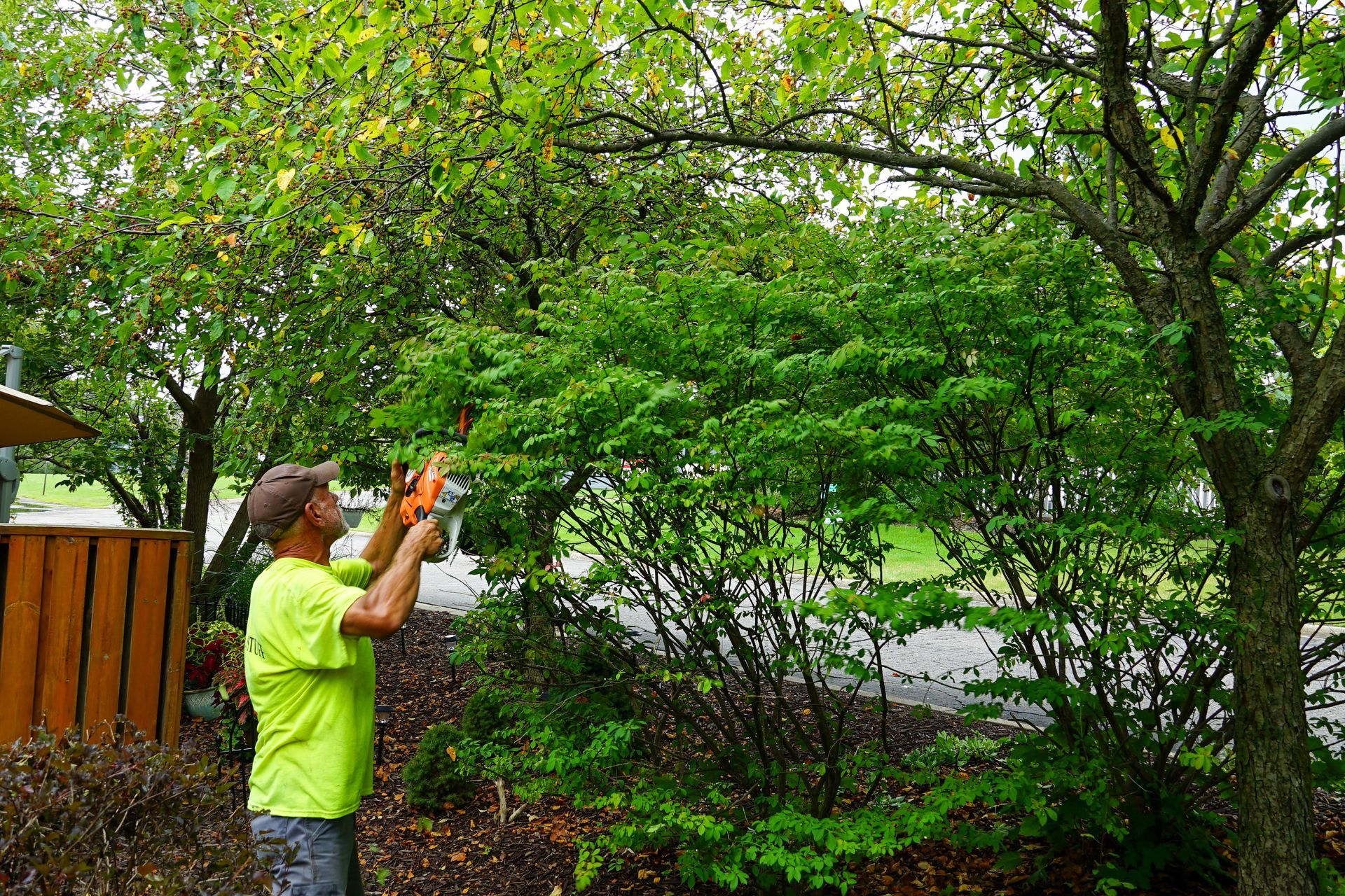 A man is cutting a bush with a chainsaw.