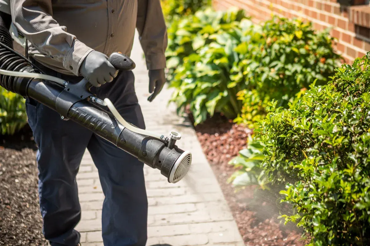 A man is spraying plants with a blower on a sidewalk.
