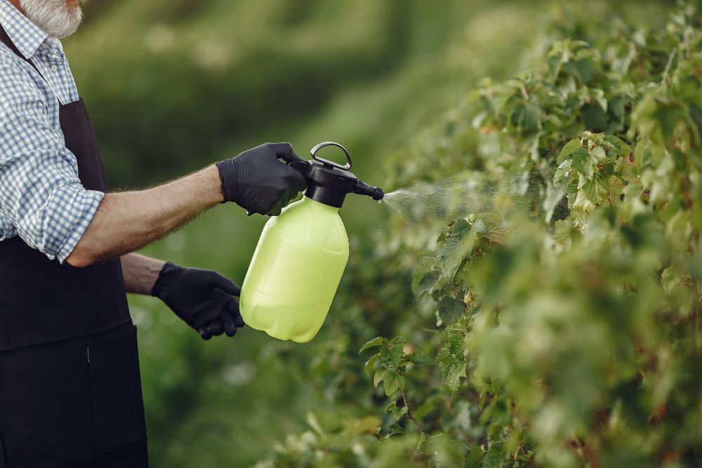 Spraying weed control