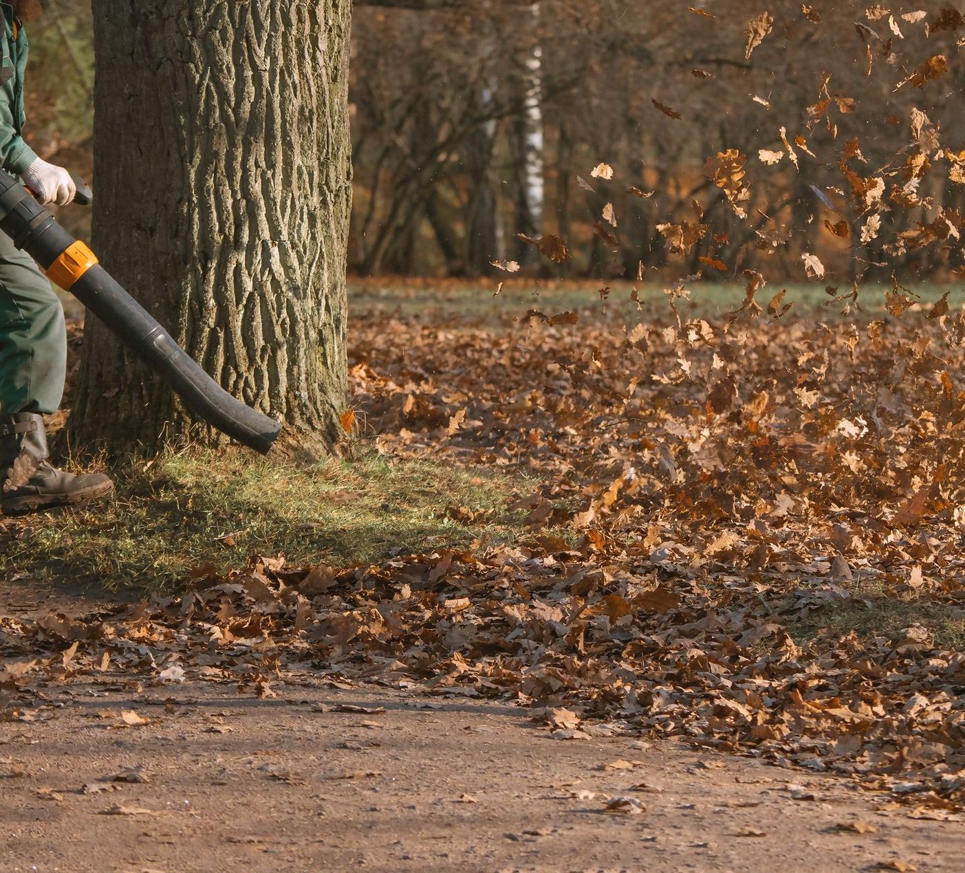 Commercial Leaf Blowing & Removal