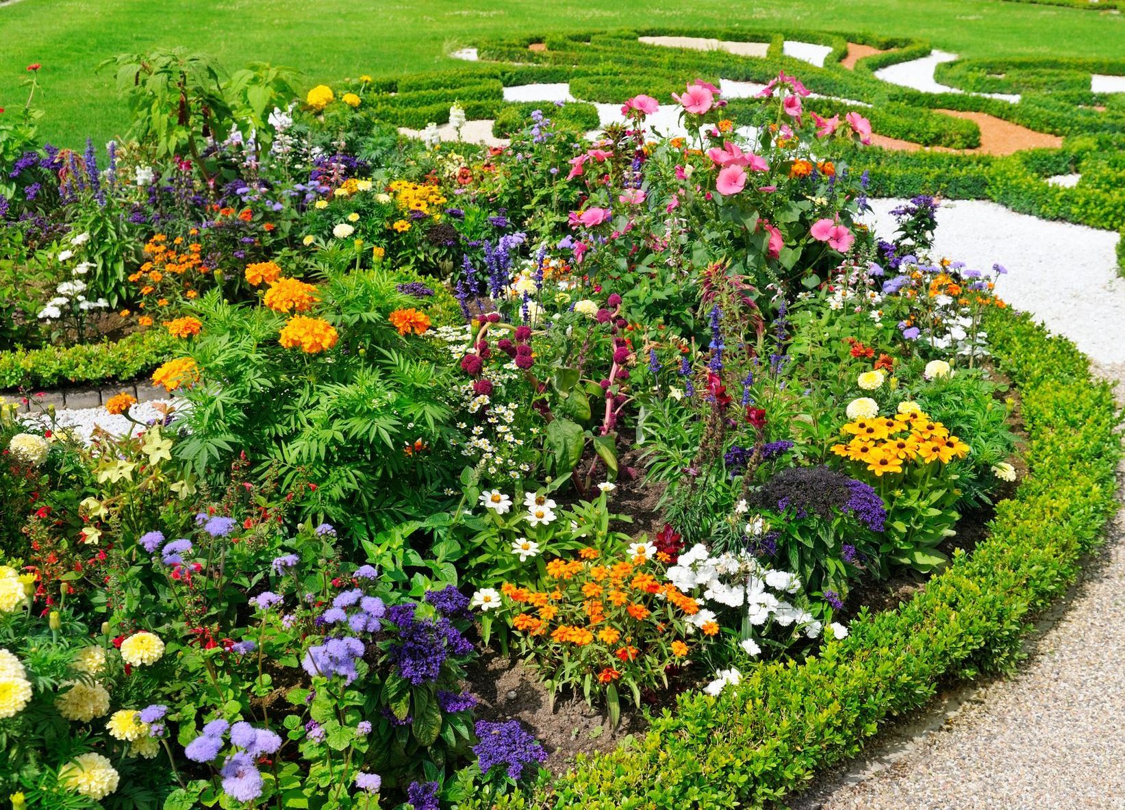 Flower Bed 
