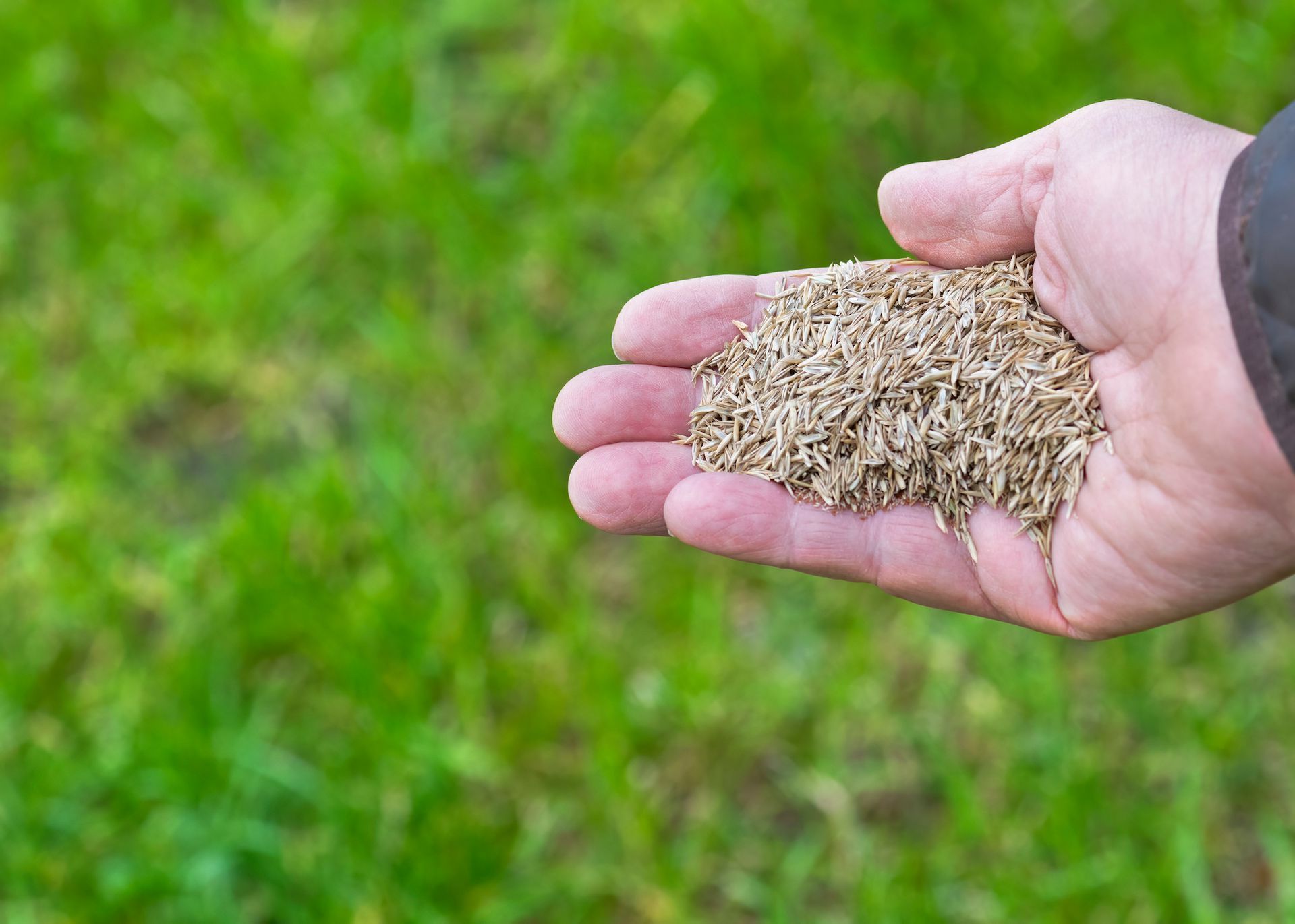 Overseeding