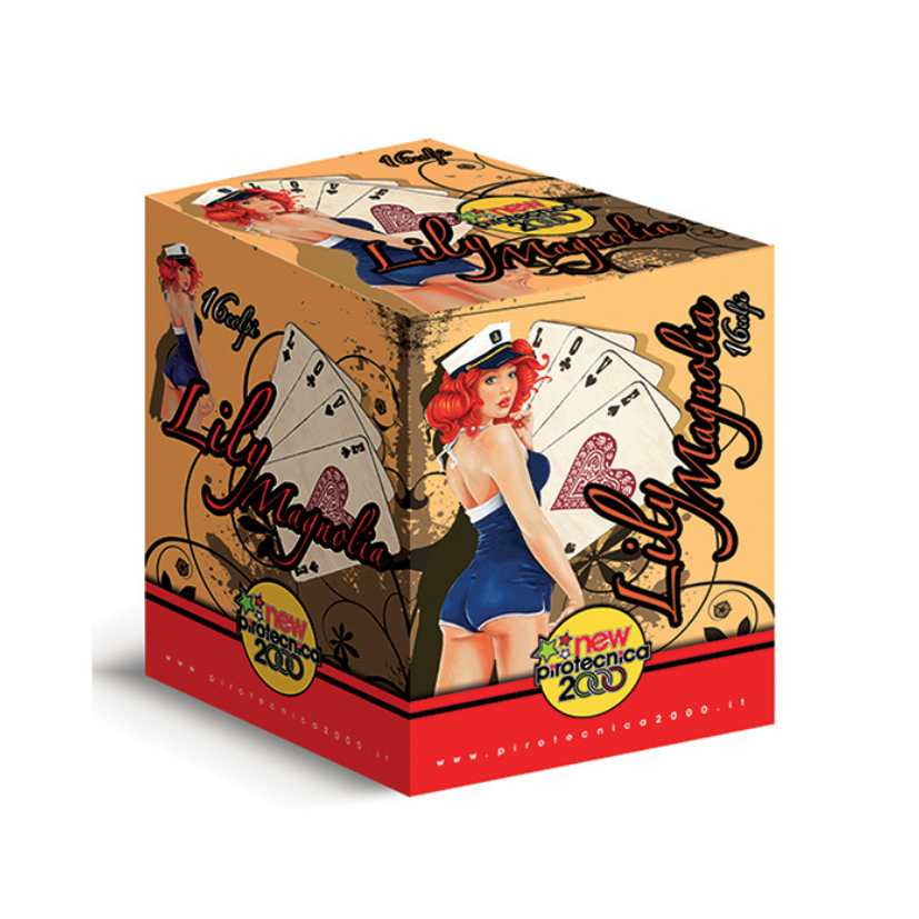 Divertirsi in Sicurezza si può !