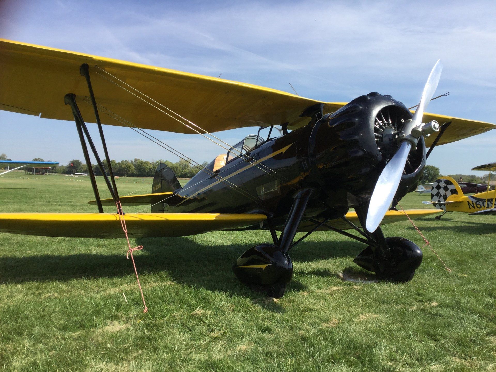 A black and yellow airplane is parked in a grassy field.