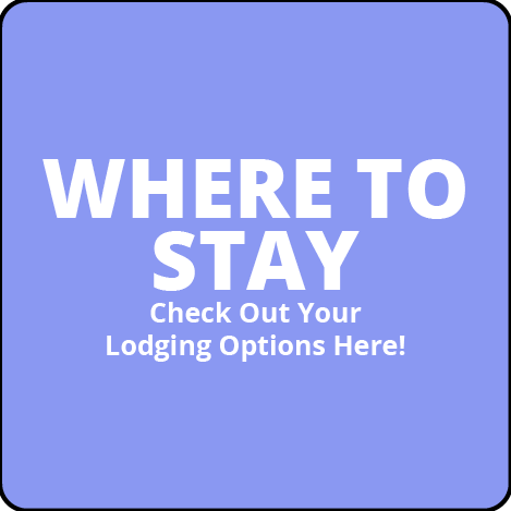 A purple button that says where to stay check out your lodging options here