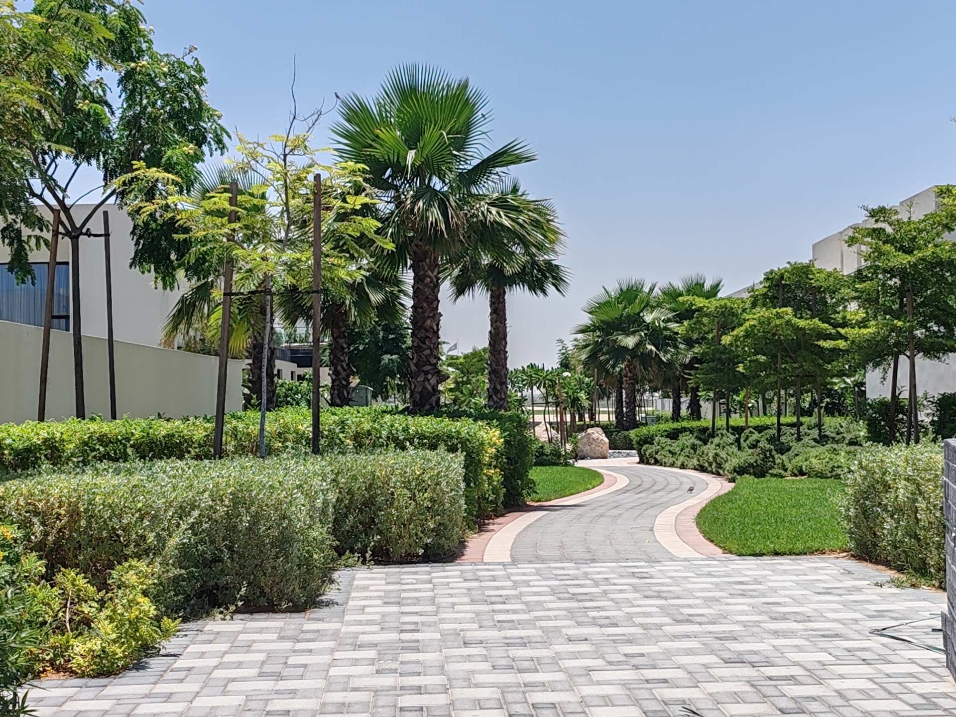 Landscape Design in Park