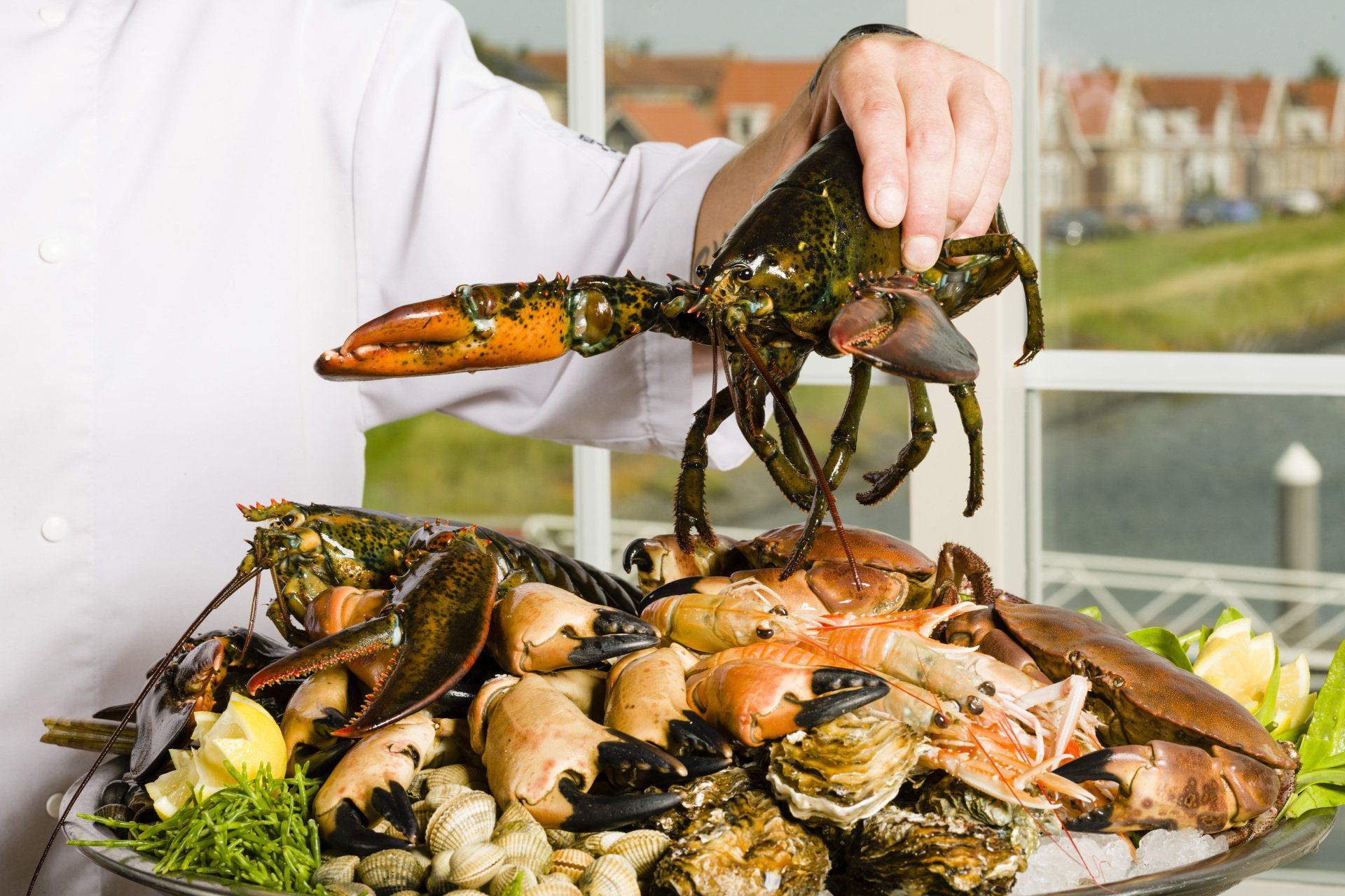Foodfoto van Oosterscheldekreeft bij Restaurant en Havenbrasserie BomDia