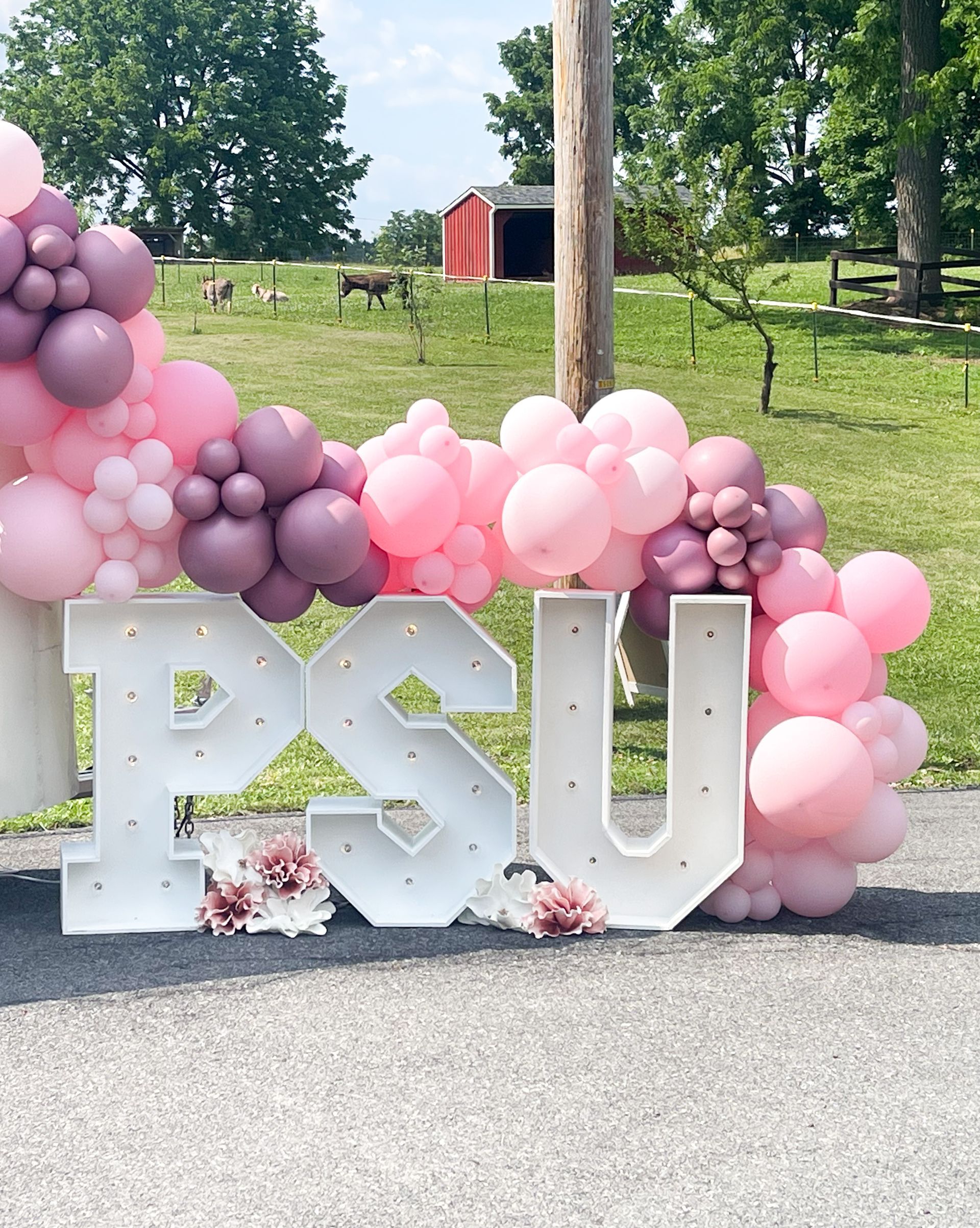 A sign that says psu is surrounded by pink and purple balloons.