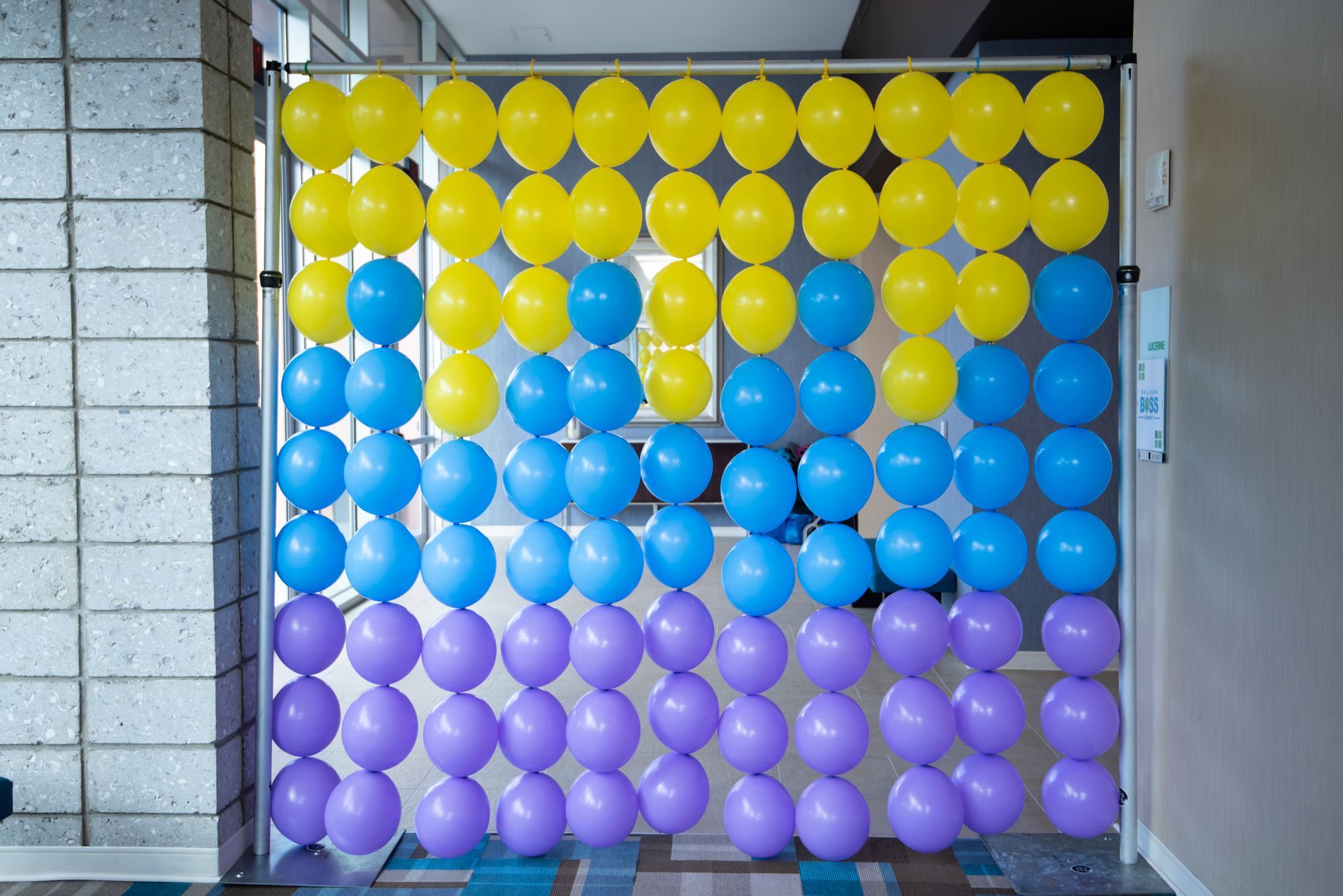 Yellow blue and purple balloons are arranged in a rainbow pattern