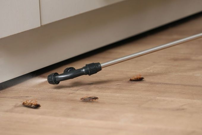Dust bunnies beside a black vacuum attachment on a wooden floor under a cabinet