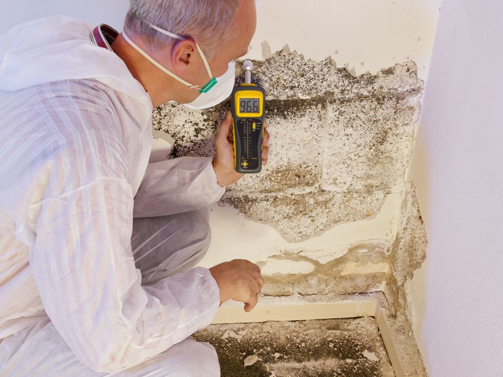 Worker in white protective suit checking a moldy wall with a moisture meter.