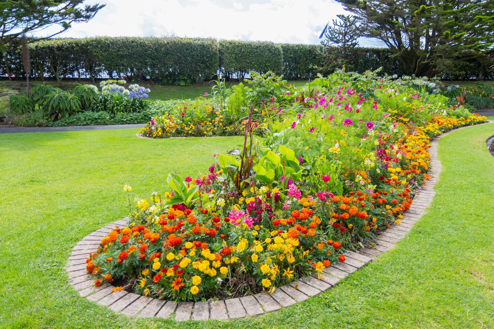 Colorful garden blooms and lush green plants in full bloom during a sunny summer day.