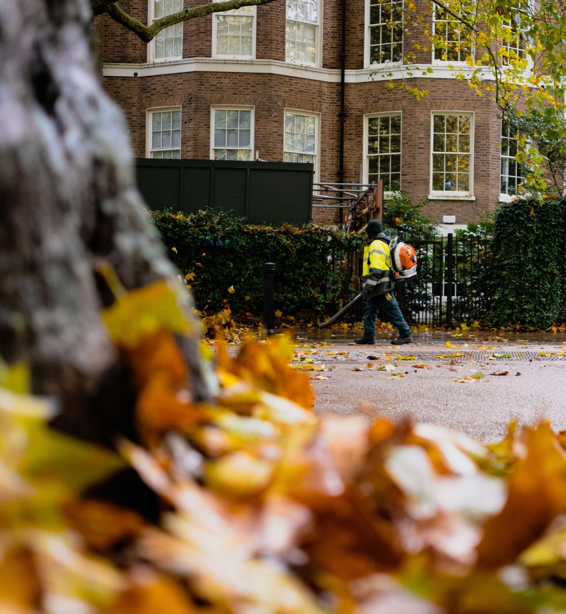 Person using a vacuum cleaner to clean leaves from a sidewalk, effectively clearing away autumn foliage.