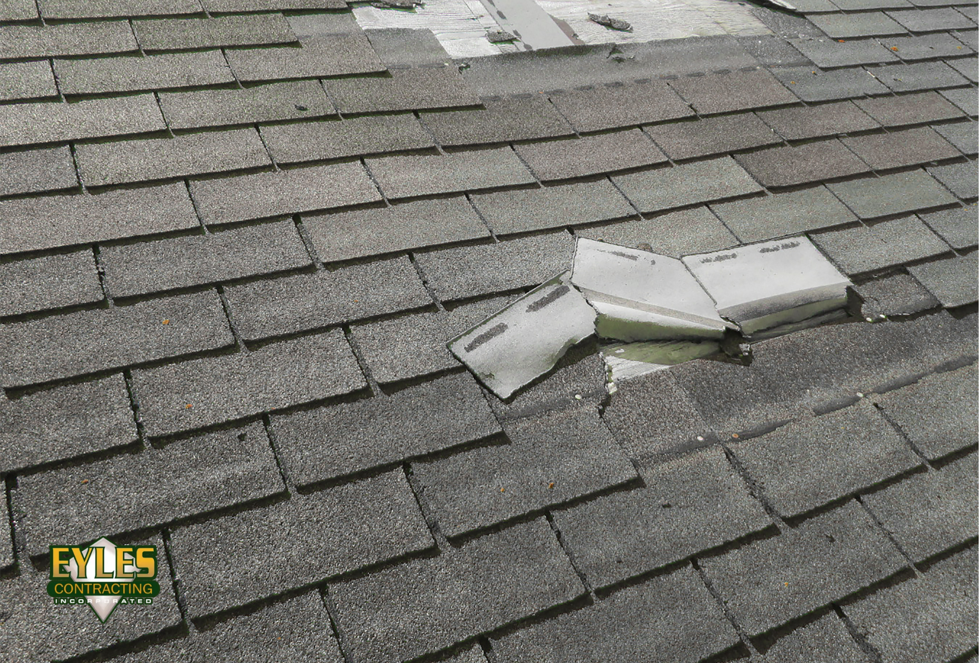 Shingle roof with damaged shingles