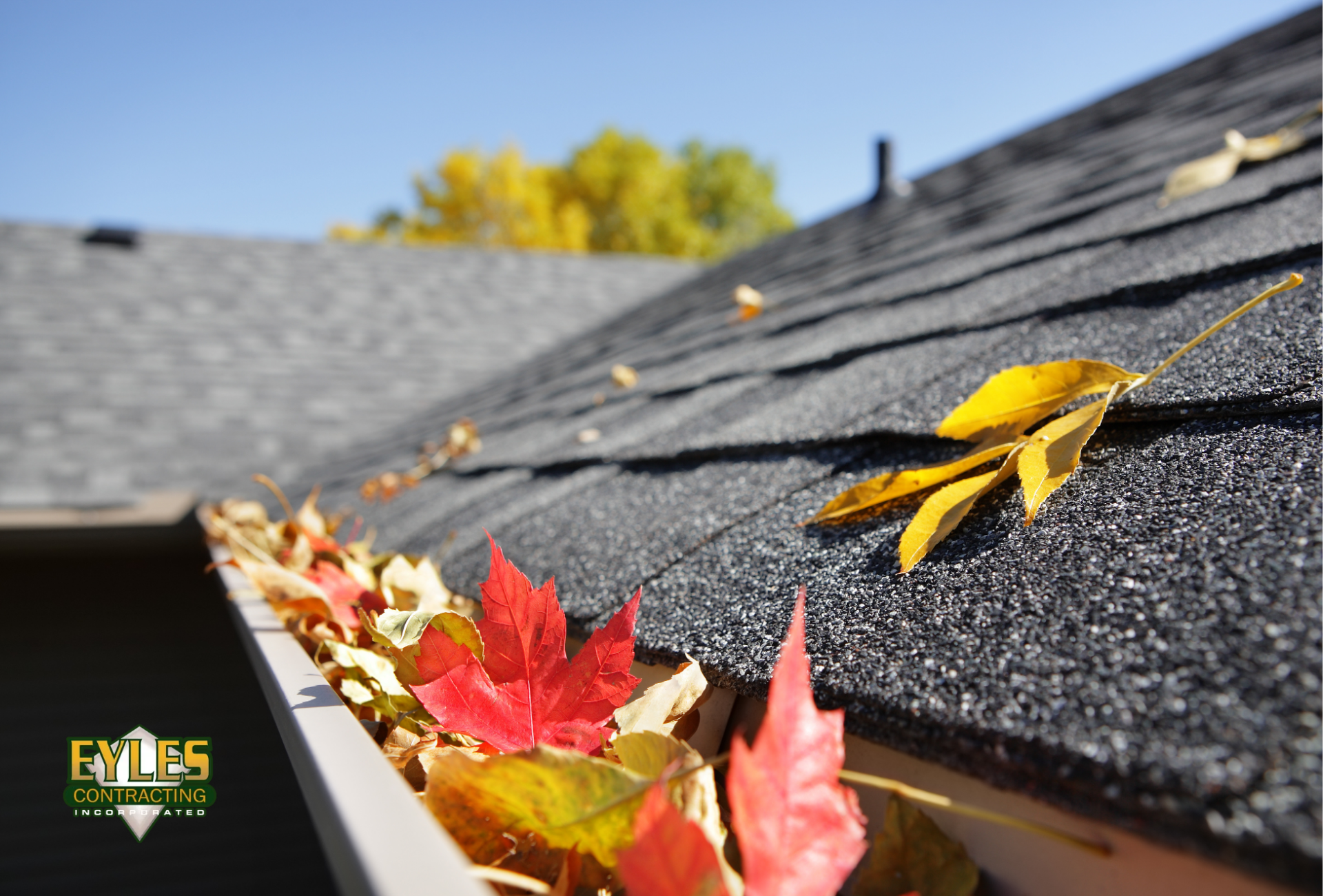 Residential roof with architectural shingles surrounded by fall leaves, showing clogged gutters.