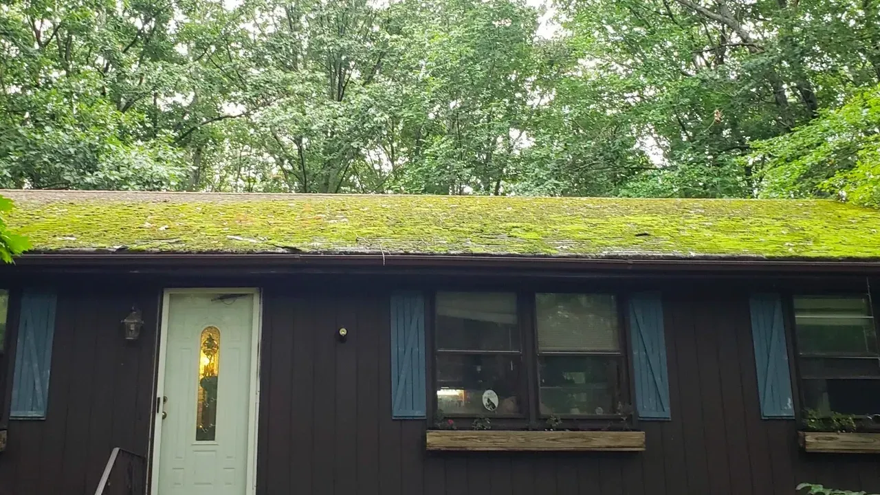 A house with a green roof and blue shutters.