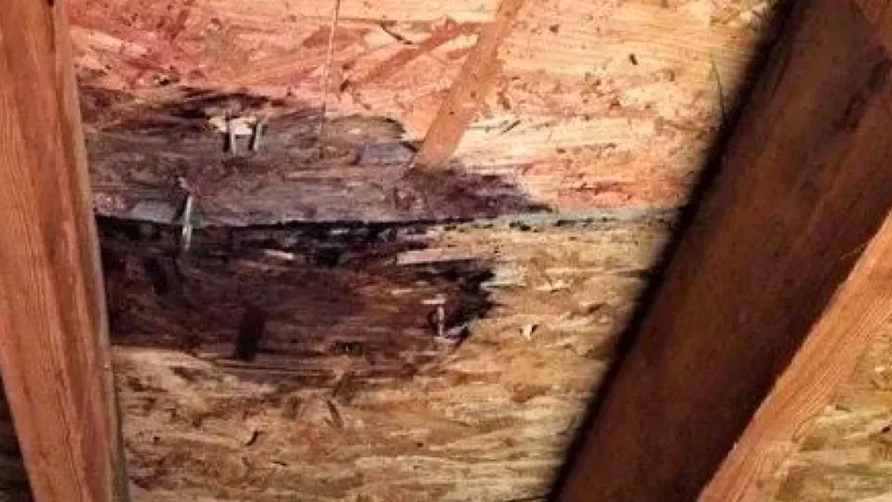 A close up of a wooden wall with a hole in it.