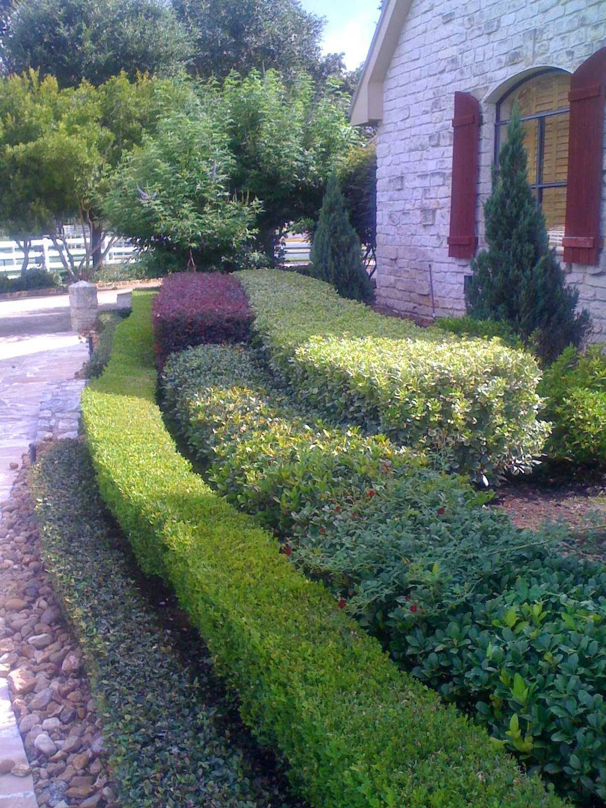 Lawn Maintenance in Harris and Montgomery Counties, TX