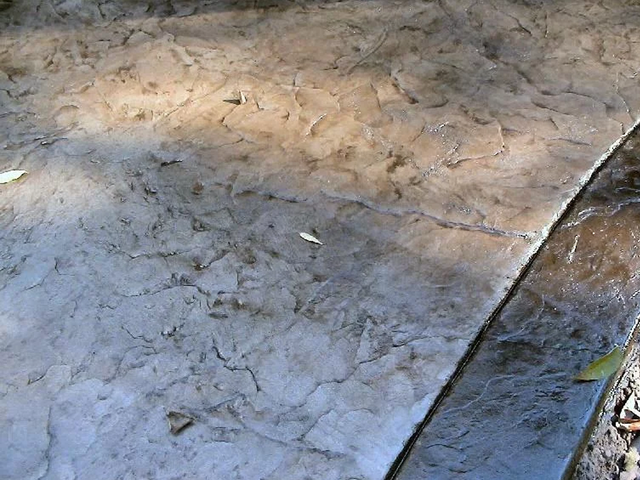 a close up of a concrete floor with leaves on it .