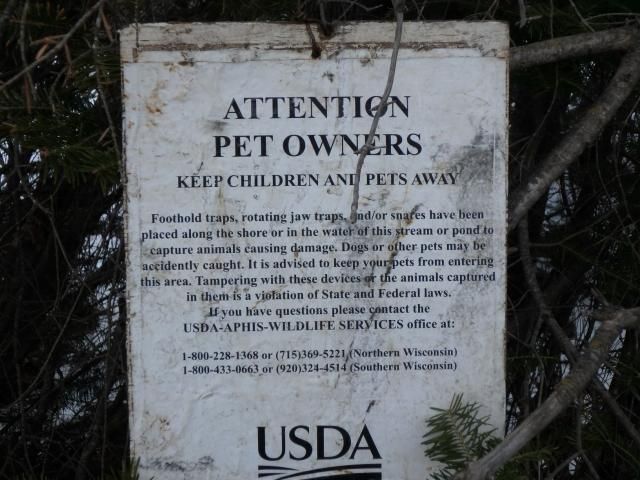 A trap in the middle of the woods