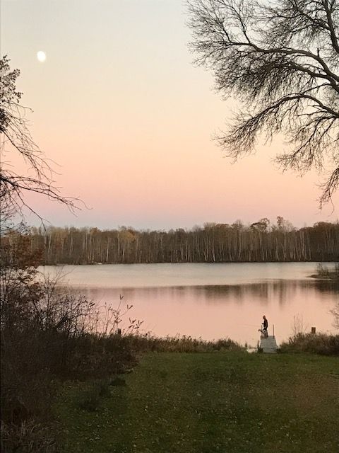 Nature scene showing trees and a lake
