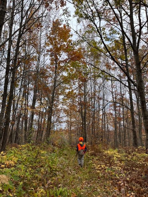 Child in the woods in Blaze Orange