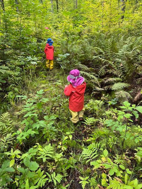 A child in the woods