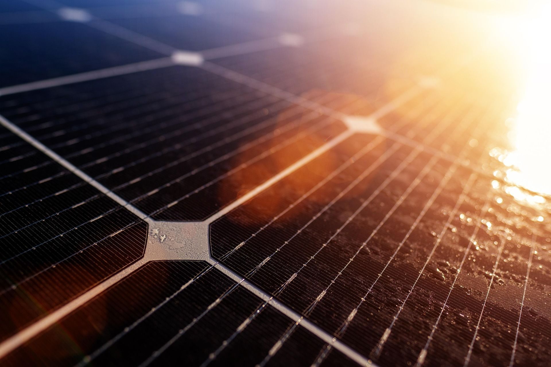 Close-up of solar panels reflecting warm sunlight at sunrise
