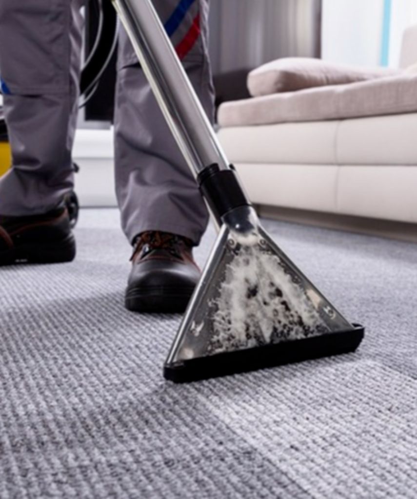 Person Cleaning a Carpet With Carpet Cleaner