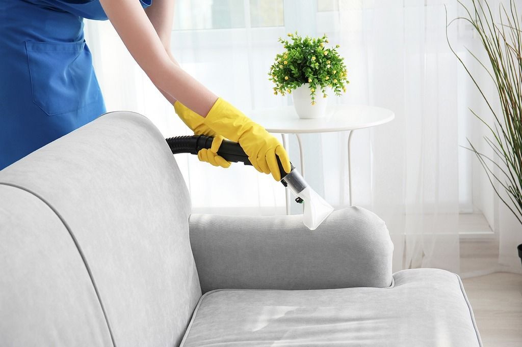 Worker Removing Dirt From Armchair
