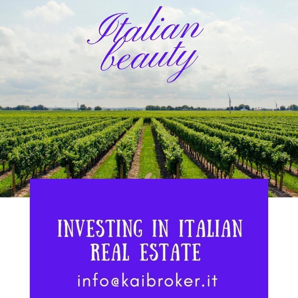 investimenti su aziende vitivinicole italiane