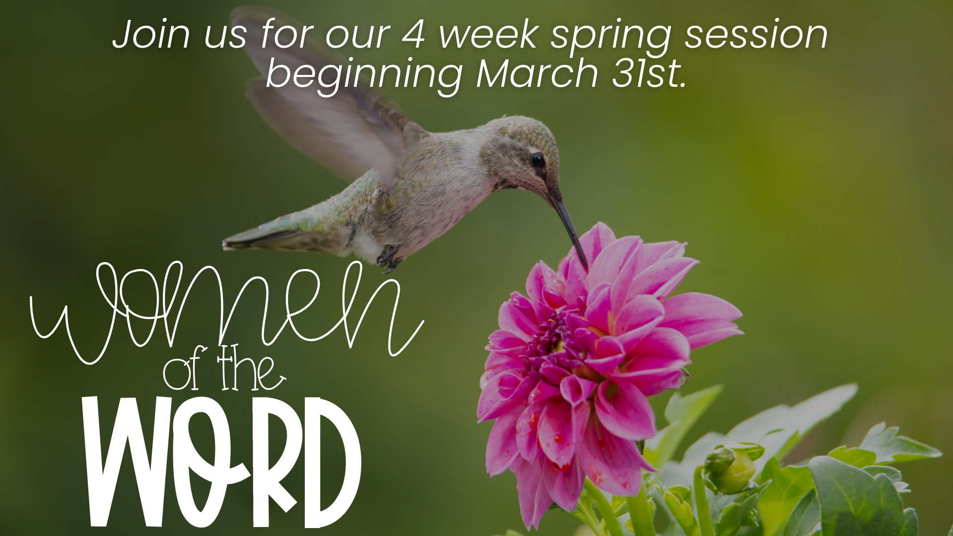 Spring Ladies Bible Study