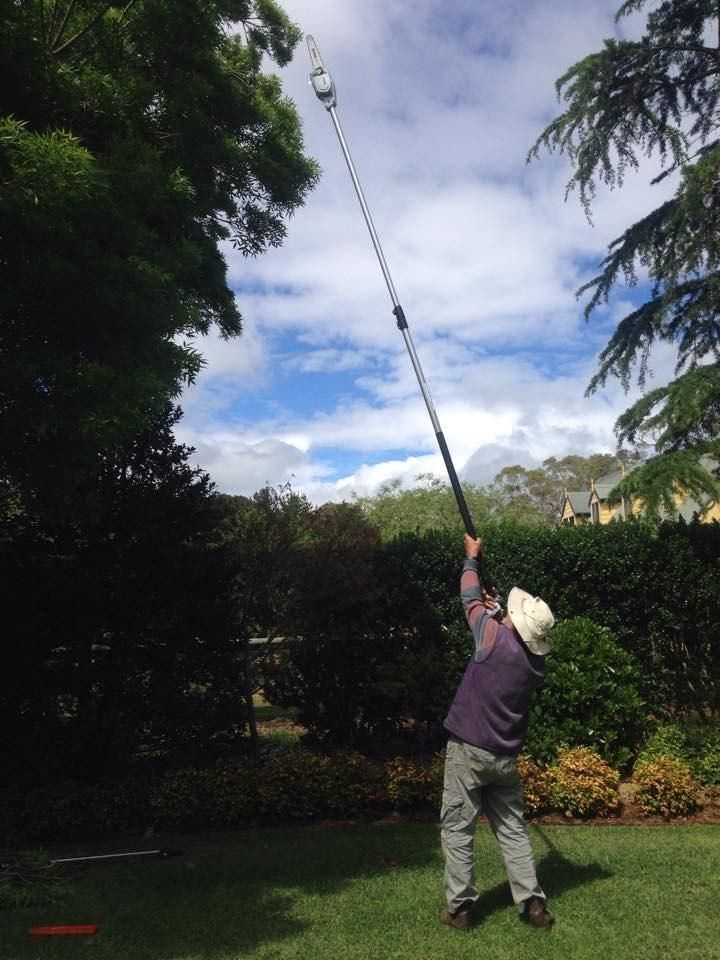 A man is using a long pole Saw — Ireland's Machinery Pty Ltd In Braemar, NSW