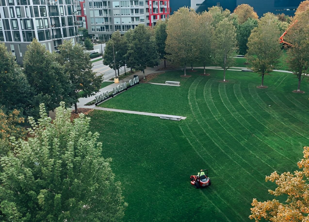 An Aerial View Of A Person Mowing A Lush Green Lawn In A Park — Ireland's Machinery Pty Ltd In Braemar, NSW