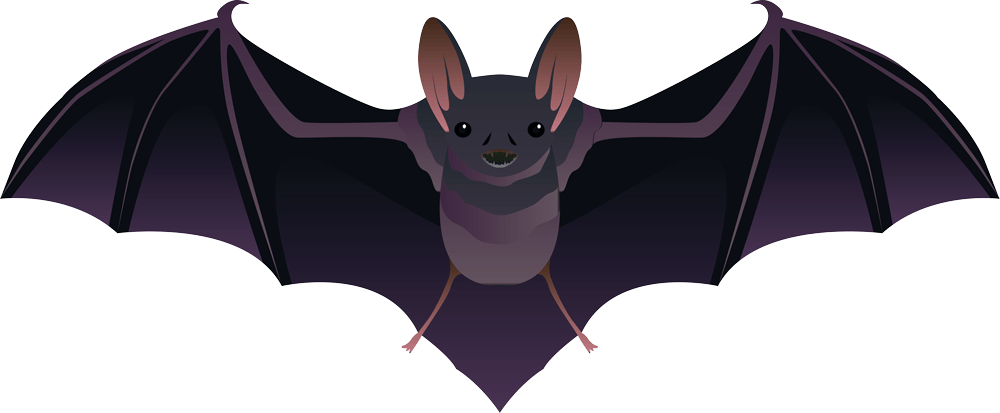bat-cartoon