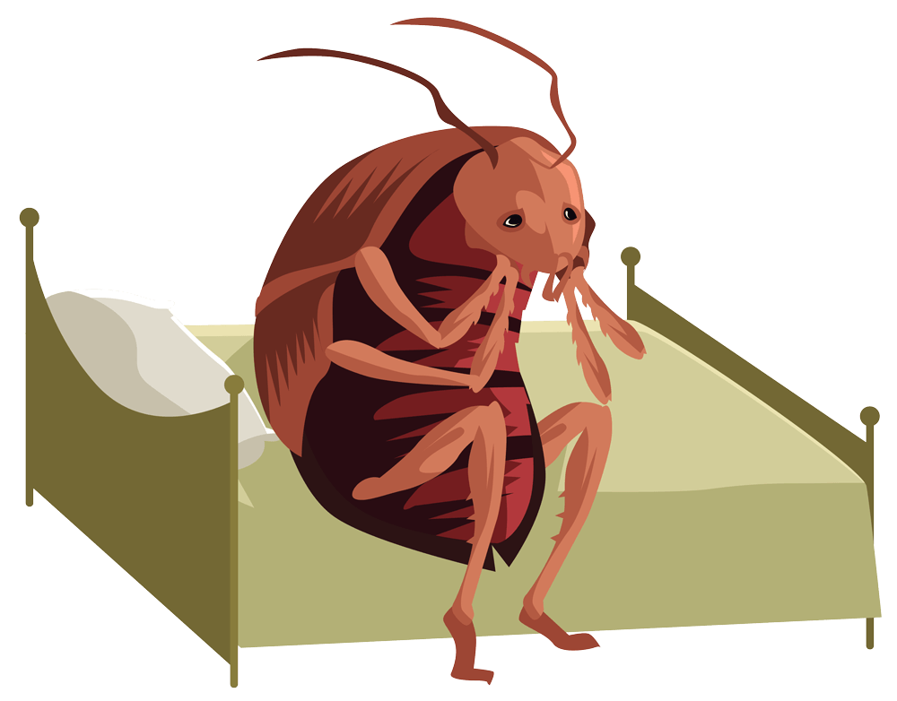 bed-bug-cartoon