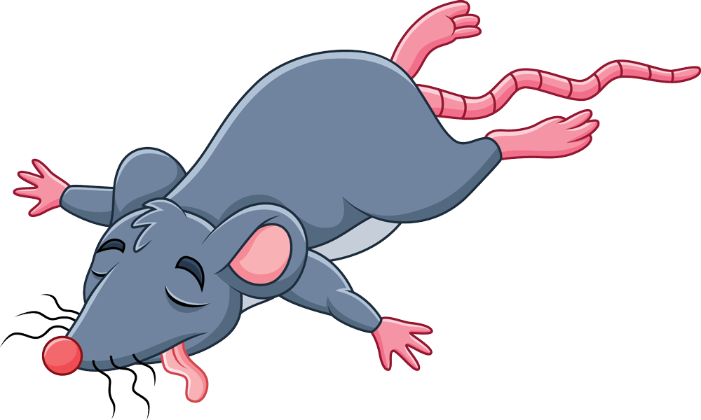 dead-rat-cartoon