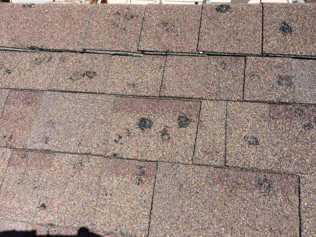 hail damage to shingles, insurance cover, hailstones damage, replacement roof,  cost, contractors