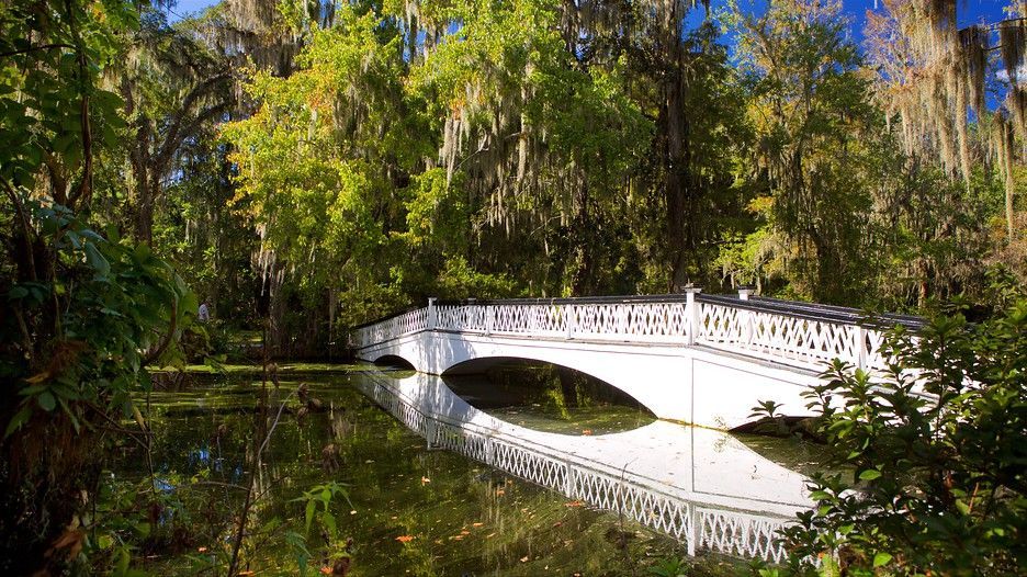 2026-04-13: Magnolia Plantation, Charleston, SC