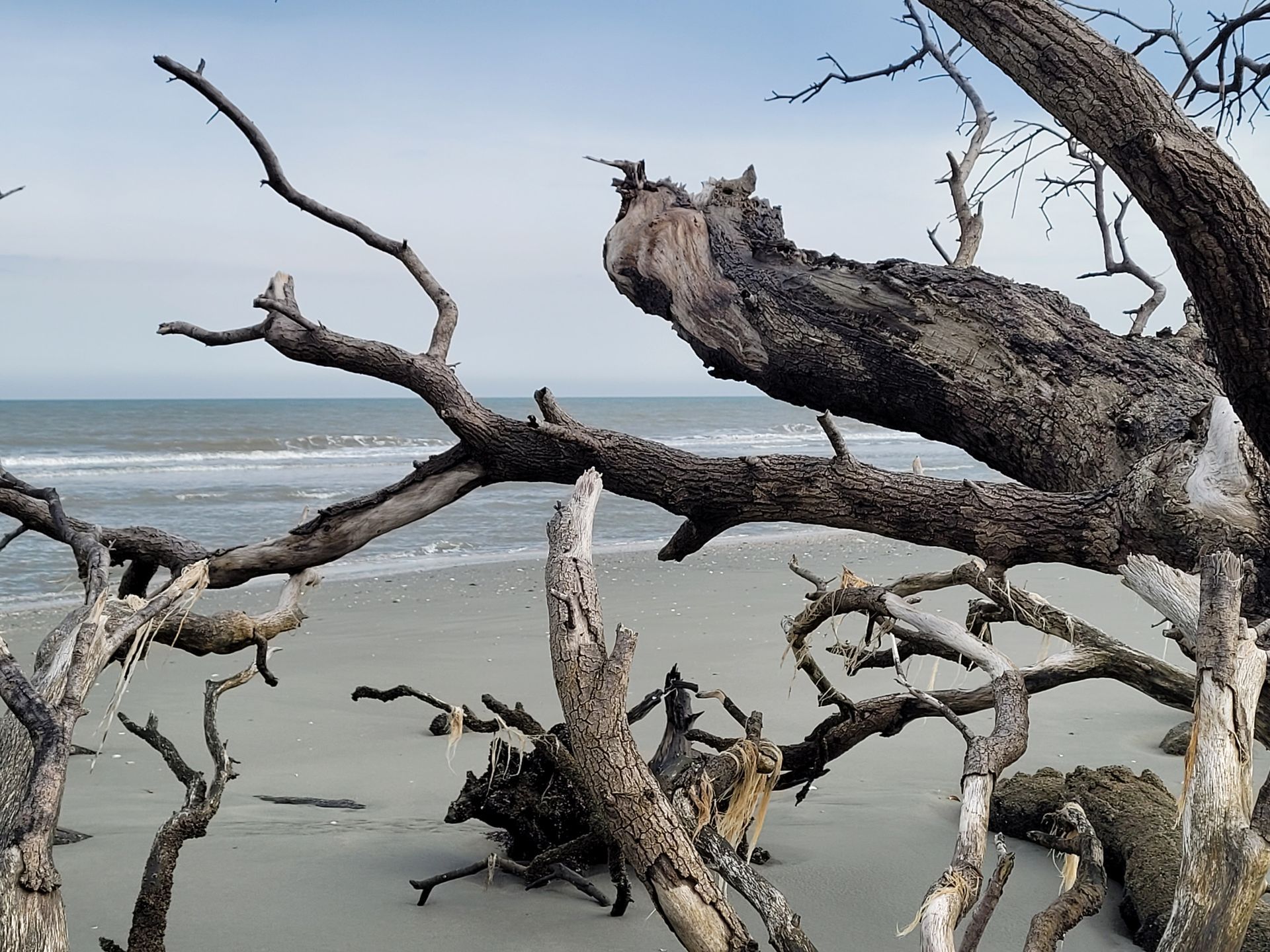 Events, Classes, & Excursions for Seniors | Myrtle Beach SC
