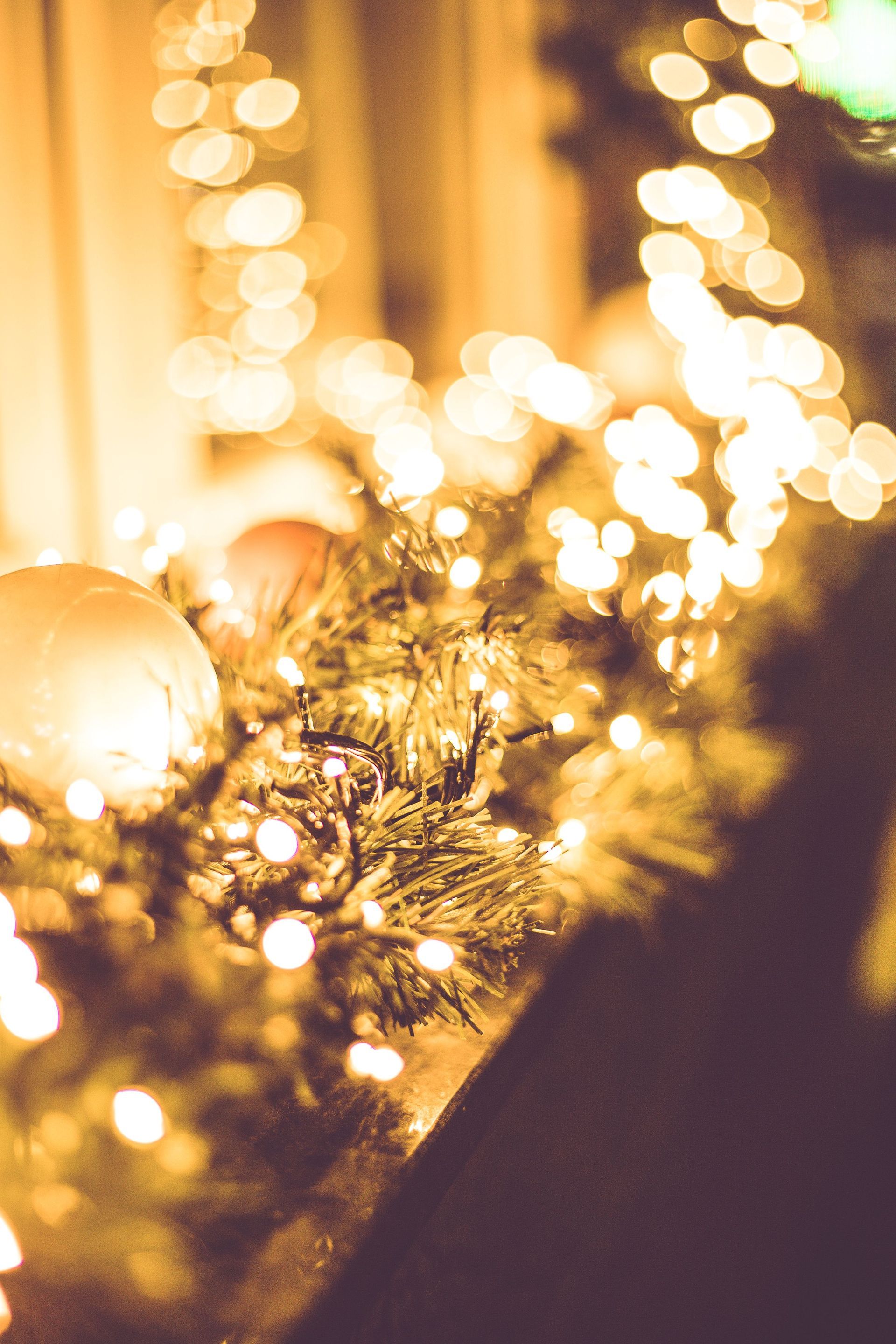 2026-12-15: Christmas Lights with our SALT Friends