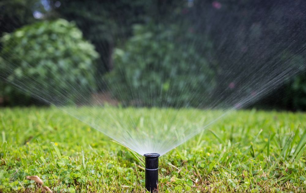 sprinkler watering the lawn in a park