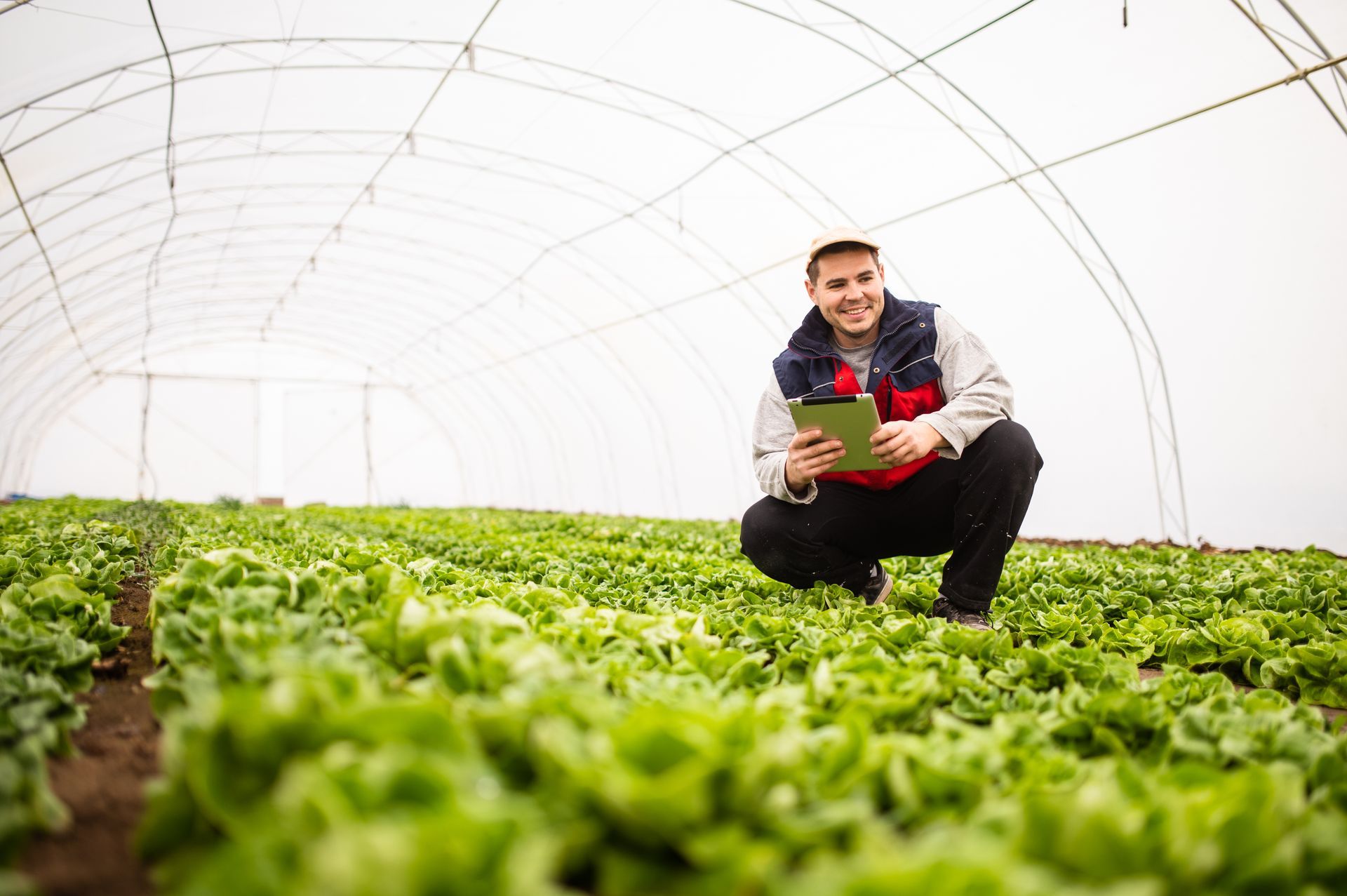 farmer checking quality and starting irrigation watering system by tablet