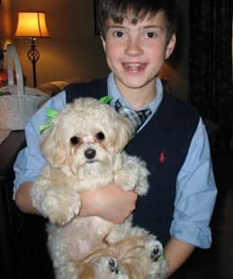 boy holding a Maltipoo dog