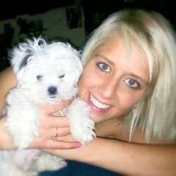 dog Maltipoo 01