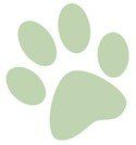dog paw - light green