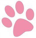 dog paw - pink