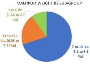 Maltipoo Adult Weight Chart Sub-group