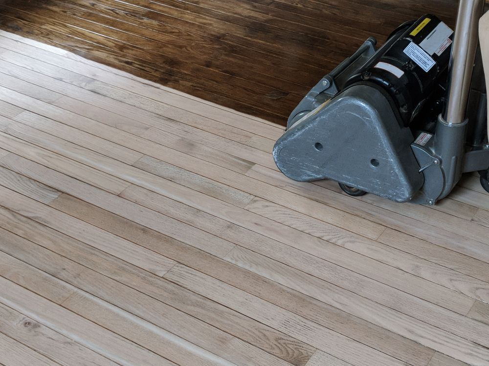 Cleaner on a Light Wooden Floor — Bowen Hire in Airlie Beach, QLD