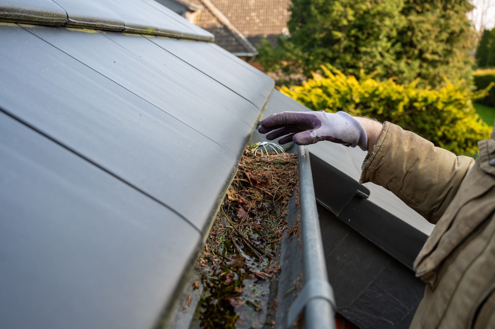 Person in gloves cleaning a gutter filled with leaves on a roof.